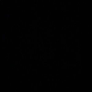 Meet your Posher, Faith